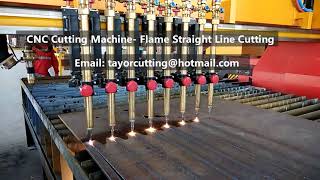 TAYOR Flame straight  cutting machine (tayorcutting@hotmail.com)