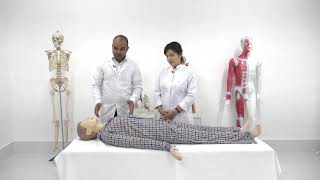 Практика 3. External Cardiac Massage. (EN)