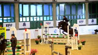 04 febbraio 2018 - Gabriele Grassi Naz.A 5* Pala ShowJumpers Vermezzo - Categ. Riservata 5 anni