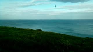 OLD  HEAD Cork Ireland 1