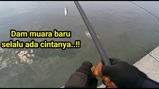 Dam muara baru selalu ada cintanya