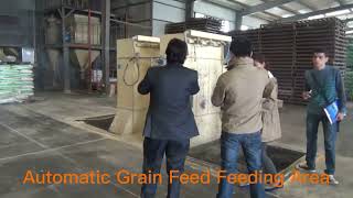 Customers Visit China's Modern Feed Factory With 20tph Automatic Dosing Feed Line