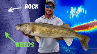 CRUSHING BIG Schools of Walleyes |  June Walleye Fishing Locations & Techniques