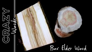 Box Elder Wood – Crazy Woods