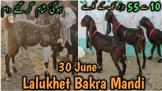 30 June. Lalukhet Bakra Mandi Update. 10 se 55 Hazar K Bakray.Gulabi Kamori Ablak Tapra orangi