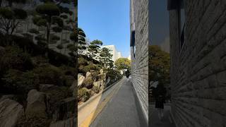 Seoul, daily vlog