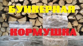 Бункерная кормушка из пластиковой бутылки своими руками. Птицеводство // КХ Алексеевых