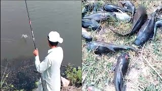 Fishing🐟in River😱🐟دریاۓ چناب کا زبردست شکار🐟Village River Fishing🐟Hook Fishing🐟 #fishing#hook#river#