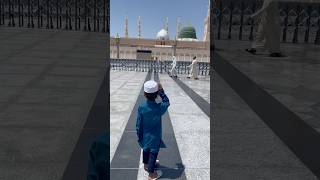 Main dekhta hi rahun tumhaare roze ko! ❤️❤️#rozaerasoolﷺ #madinah #madina #shorts #short #shortvideo