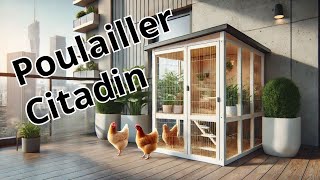 Poulailler Citadin : Comment élever des poules en ville ? Astuces et conseils pour réussir !