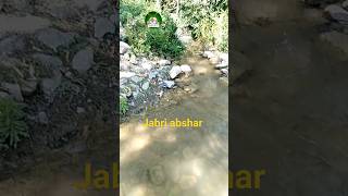 jabri abshar💧#shorts#youtubshorts#Shahid info tv