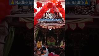 Radhe braj jan man sukhkari radhe | Ladali darsan #barsana #shorts