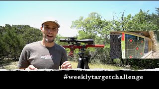 Split-a-stick with a .177 caliber Airgun! Weekly Shooting Challenge