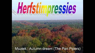 HERFSTIMPRESSIE 1