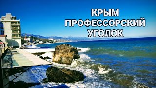 Пляжи ПРОФЕССОРСКОГО УГОЛКА. Прогулка в лесу с Малышом. АЛУШТА КРЫМ#50