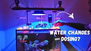 INI REKOMENDASI PERAWATAN AQUARIUM LAUT. TERNYATA MUDAH❗WATER CHANGES or DOSSING⁉️