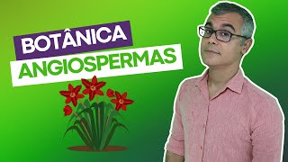 ANGIOSPERMAS / Prof. Baraúna