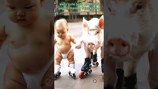 Very cute baby and little pig are having fun skating❤️❤️ #shorts #cutebabies #viralbaby #trending