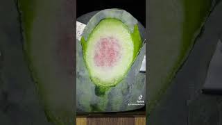 Love this sound! #schmackofatzo #cut #frozen #cold #food #melon #kitchen