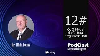 12# A Cultura Organizacional | Podcast Consultório-Empresa