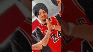 Goat Sidhumoose wala #sidhumoosewala #goat