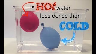 Is HOT water less dense then COLD water Experiment