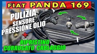 Pulizia Sensore Pressione Olio + Sensori Giri Motore e Camme + Ripristino Corrugato Cablaggio Panda