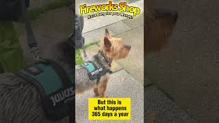 Yapping dog disturbing customers buying fireworks.