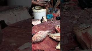 Amazing Tilapia Fish Cutting Video | Big fish cutting | Fast fish cutting #bdfishcutting