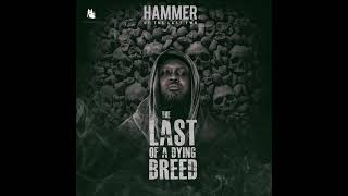 Hammer of The Last Two- 4 Decades (feat. Nana Asaase) (Artwork Audio)