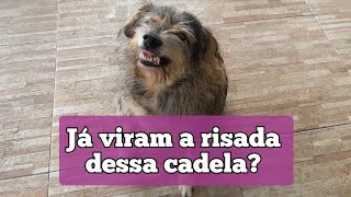 Cadela que mais sorri no Mundo!