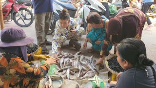 Many people buying fish at the market, Many Cat fish are selling at the market