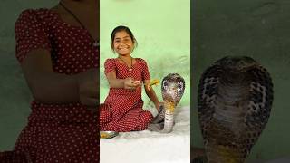 তীব্র বিষধর গোখরা সাপের ফণা তোলার গোপন রহস্য | Facts behind Cobra Snake #snakevideo #snake #সাপ