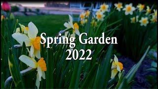 Spring garden 2022