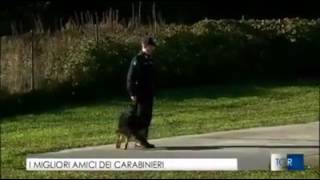 I migliori amici dei carabinieri - Nucleo cinofili