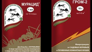 Мурацид и Гром2