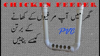 DIY Chicken Feeders at home urdu hindi punjabi