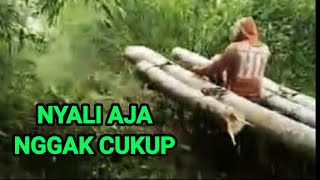 Motocross Motor Trail Masih Kalah Sama ini || Ojek Kayu