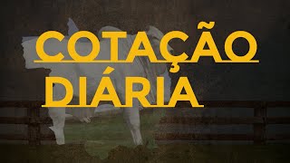 COTAÇÃO DIÁRIA DO BOI E VACA GORDA NA REGIÃO NORTE ARAGUAIA  ATUALIZADA DIA 20/09/2024