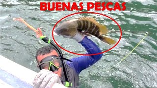 Una BUENA PESCA con ARPON y pescado ahumado