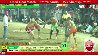 Final Match Shamspur vs Dhandoli {2018} Nabha {Patiala}