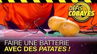 Faire une batterie avec des patates ! - Défis Cobayes - France 4