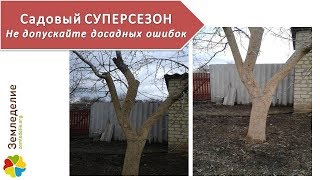 Органическое садоводство: удачное начало сезона