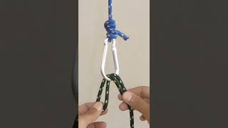 KNOT FOR A CARABINER #knotskill #knot#shorts