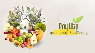 Raw vegan kitchen հում վեգան շոկոլաներ քաղցրագնդիկներ պաղպաղակ