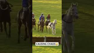 Loose Horse causes chaos at Wetherby #youtubeshorts #horse #horseracing #racing #youtube #fyp #fy