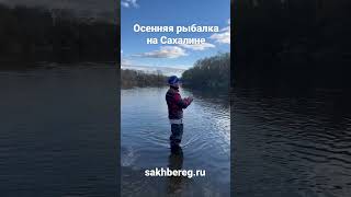 Осенняя рыбалка на Сахалине #рыбалка #сахалин #туризм #спиннинг