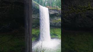 beautiful water fall scenery #relaxingmusic #waterfall #nature #meditationmusic #relax #flowers