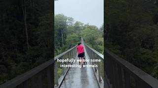 Is The Habitat at Penang Hill worth it? Here’s what the canopy walk is like. #penanghill #malaysia