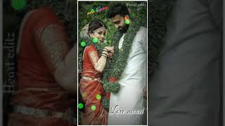 Newly married couples 💚 Tamil lovely couples WhatsApp status 💚